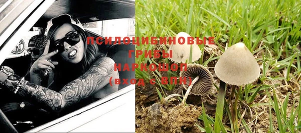 СК Заволжье
