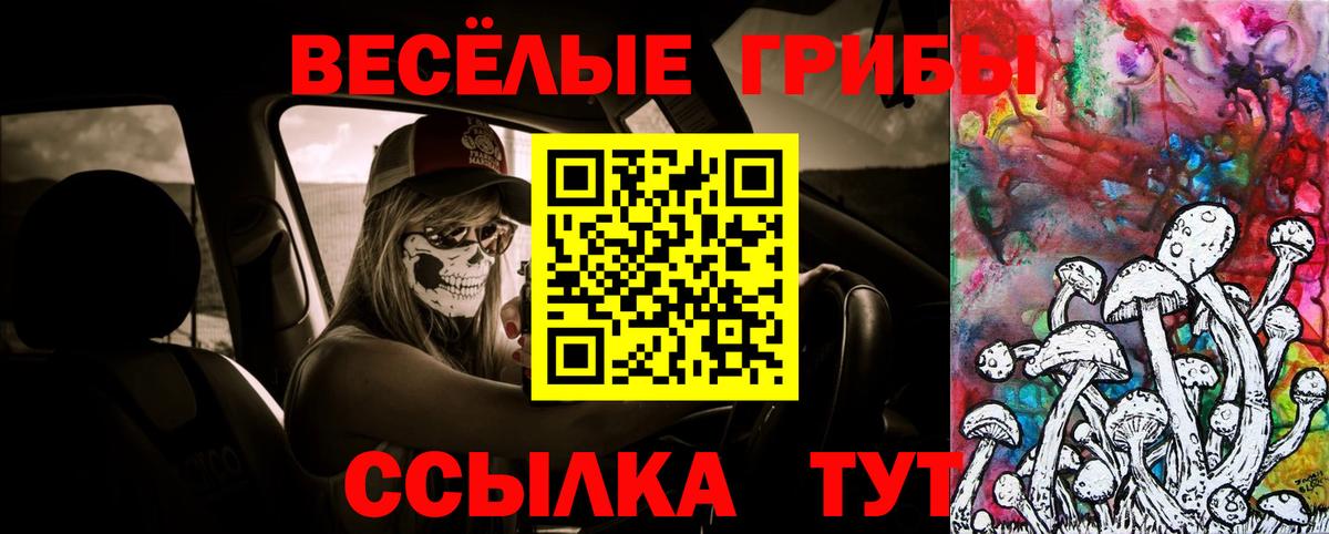 где продают   Азов  Псилоцибиновые грибы мицелий 