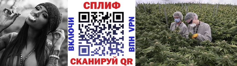 Шишки марихуана THC 21%  Азов 