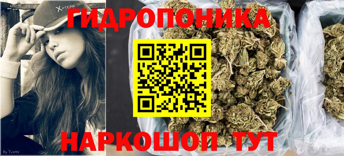 Канабис марихуана  Вход с VPN  Азов  Канабис планчик  Конопля сатива 